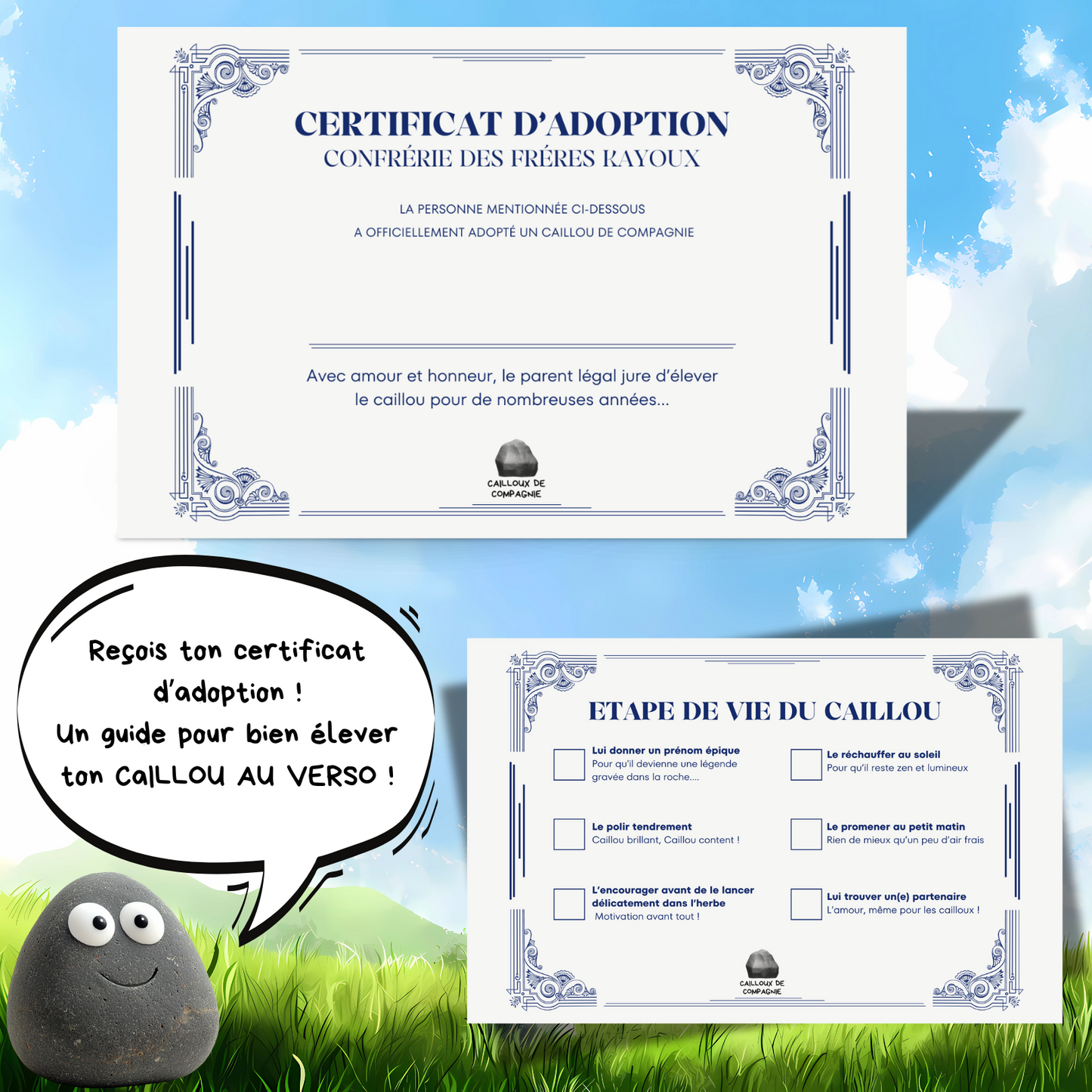 Adopte un Caillou de Compagnie