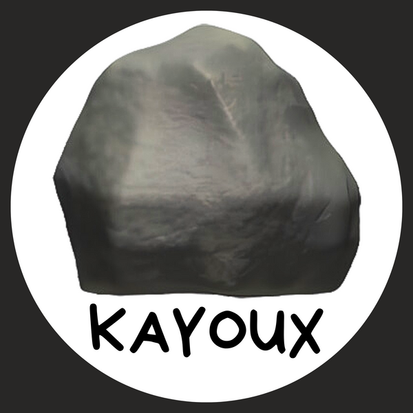 Cailloux de Compagnie